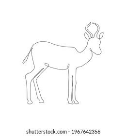 Minimalistic One Line springbok or duiker antelope ion. one line hand drawing continuous art Vector Illustration. Free single line drawing of springbok. Antelope Line drawing 
