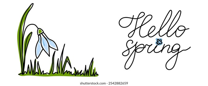 Minimalistic outline background of blooming snowdrop and words Hello Spring in elegant hand-writing cursive. Perfect for seasonal designs and nature-themed projects. Vector illustration