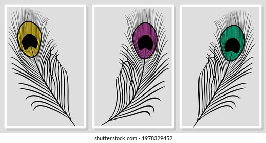  Minimalistic peacock feathers - wall art vector set, for wall art, poster, wallpaper, print 