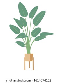 Minimalistic plant in modern flowerpot