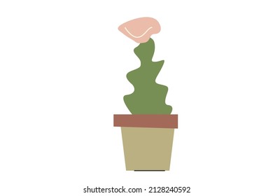 Minimalistic сactus in a pot. Exotic plant in trendy colors. Vector illustration with succulent isolated on white background