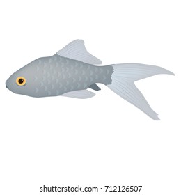Minimalistic Realistic Cartoon Illustration of Fish