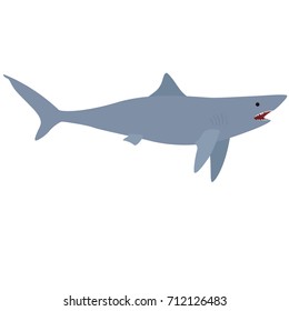 Minimalistic Realistic Cartoon Illustration of Shark