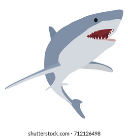 Minimalistic Realistic Cartoon Illustration of Shark 