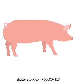 Minimalistic Realistic Illustration of Pig