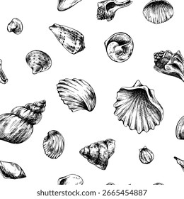 Padrão sem emenda minimalista com conchas variadas em monocromático, desenhado à mão ilustração de arte de linha em tinta preta, perfeito para marinheiro temático têxtil, envoltório e desenhos de fundo.