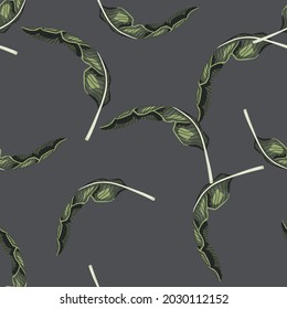 Minimalistisches nahtloses Muster mit grünen tropischen Blättern Ziergegend. Grauer Hintergrund. Doodle-Stil. Vektorgrafik für saisonale Stoffdrucke, Stoffe, Banner, Hintergründe und Wallpaper.