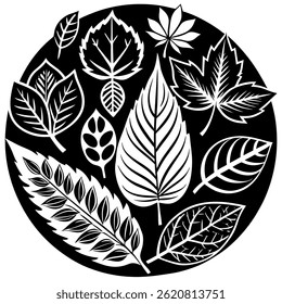 A minimalistic set of black silhouette leaf icons representing  natural shapes. The collection includes stylized, realistic, and abstract leaf forms suitable for eco-friendly 