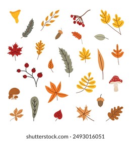 Minimalistic set of fall leaves. Fall season design for banners, posters, invitations. Colorful flat vector illustration isolated on white background. 
