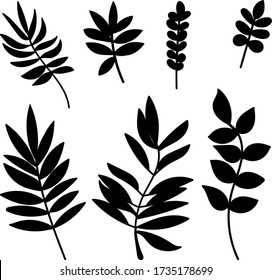 Minimalistic simple images of plant leaves. Black clipped silhouettes of ferns on a white transparent background. Collection of pictograms drawn by hand. Sketch sticker elements. EPS 10