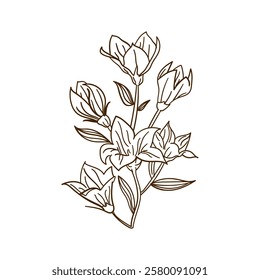  A minimalistic single floral arrangement in a delicate line art style. Perfect for botanical-themed designs, wedding invitations, and decorative elements.