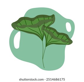Minimalistic tropical leaves. Bloom and blossom exotic plants. Jungle and rainforests flora. Minimal artwork. Graphic element for website. Linear vector illustration isolated on white background