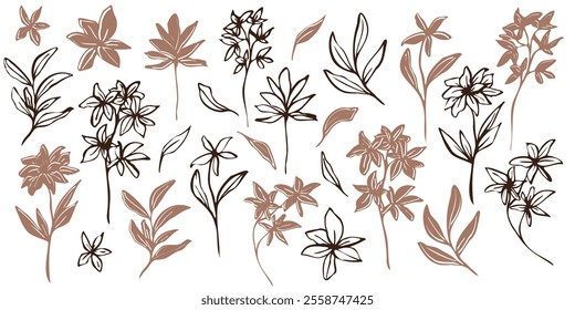 Minimalistic vector botanical illustration. hand drawn flowers and leaves in mocha and brawn outlines. line art and silhouettes, emphasizing natural, organic beauty in a modern style