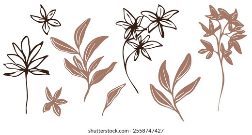 Minimalistic vector botanical illustration. hand drawn flowers and leaves in mocha and brawn outlines. bouquet, line art and silhouettes, emphasizing natural, organic beauty in a modern style