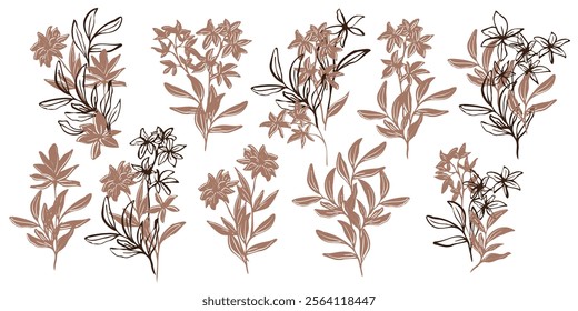 Minimalistic vector botanical illustration. hand drawn flowers and leaves in mocha and brawn outlines. line art and silhouettes, emphasizing natural, organic beauty in a modern style