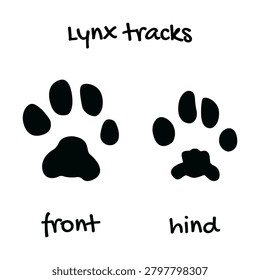 Minimalistic vector illustration of lynx tracks. Drawing of lynx paw print. Trail of predator's front and hind paws. Wild animal. For educational materials, field guides, infographics