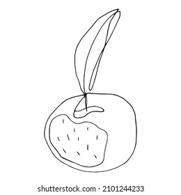 Minimalistic vector illustration. A peach fruit with a twig and leaves. Contour illustration. Design of posters, postcards, invitations, packaging, stickers, logo, tattoo.