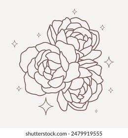 Ilustración vectorial minimalista de peonías