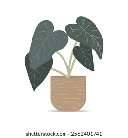 Minimalistic vector illustration of a potted houseplant with dark green heart-shaped leaves and light green veins, placed in a textured brown pot on a white background.