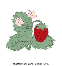 Minimalistische Vektorgrafik von Erdbeerstrauch im Linienstil gezeichnet mit Flecken. Erdbeerstrauch mit Erdbeeren und Blumen
