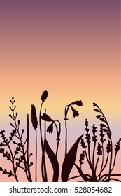 a minimalistic vector illustration of sunset through field herbs and flowers