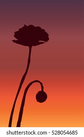 a minimalistic vector illustration of sunset through poppy flower