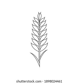 Minimalistic wheat line icon. Simple barley, weat, rice outline logo vector illustration. Liner Wheat isolated on white background. Farm and Bakery symbol