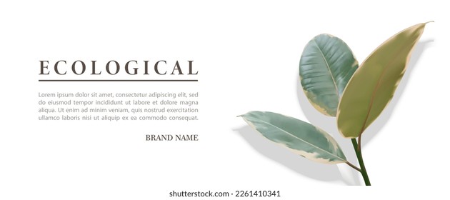 Minimalistic white background with realistic tropical plant leafs. Vector illustration of 3d leaves for cosmetics, beauty, spa salons, travel companies, ecological environmental initiatives, floristry