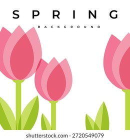 
Minimalistic white background with spring tulips