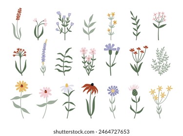 Minimalistische Wildblumen und Blätter Kollektion. Handgezeichnete Vektorillustration