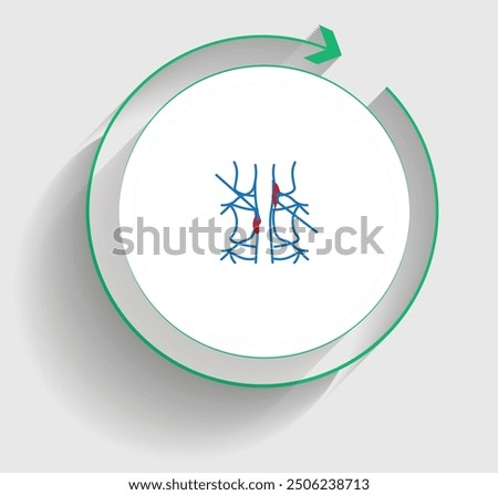 Minimally Invasive Spine Surgery icon
