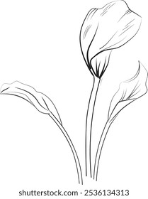 Minimilist calla flower tattoo drawings, calla lily flower coloring pages for kids, hand drawn calla flowers, small calla flowers tattoo drawings