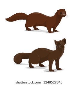 Mink and sable dark-colored carnivorous mammal icon. Wildlife vector animal with rich glossy brown coat that looks silky. European and american mink and sable, isolated hunting vector animal