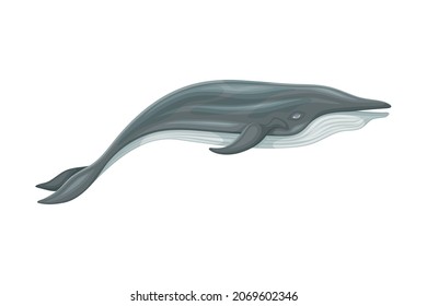 1,262 Placental Mammals Images, Stock Photos & Vectors | Shutterstock