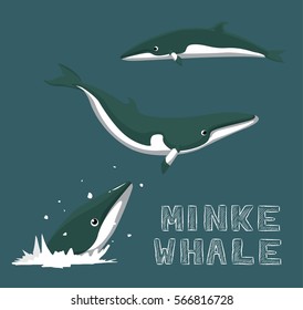 Minke Whale Cartoon Vector Illustration