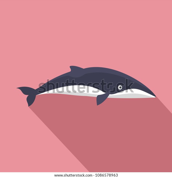 Minke whale icon. Flat illustration of minke whale\
vector icon for web\
design