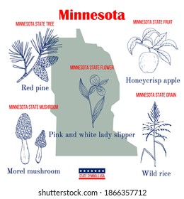 Minnesota. Set of USA official state symbols. Vector hand drawn illustration