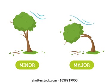 MINOR and MAJOR antonyms word card vector template. Flashcard for english language learning. Opposites concept. Tree bent from the wind, tree broke from the wind.