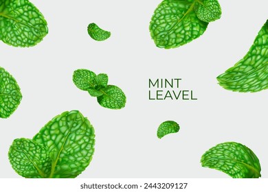 Mint background design, refreshing leaves floating in the air. Vector illustration