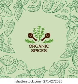 Fondo de menta. imagen de concepto de especias orgánicas con hojas de menta dibujadas a mano