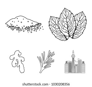 Mint, basil, root of ginger, paprika.Herbs and spices set collection icons in outline style vector symbol stock illustration web.