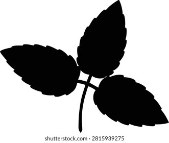 Mint branch hand drawn botanical illustration