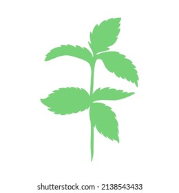 Mint branch, leaves shape isolated on white, Hand drawn vector spicy herb, Doodle cooking ingredient peppermint silhouette green twig for design natural cosmetic, organic medicine, herbal tea package