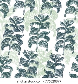 Mint branch seamless pattern. Vector background for design menu, packaging and recipes. Hand drawn retro illustration. Engraved style.