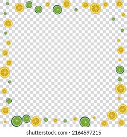Mint Citrus Background Transparent Vector. Cute Pattern. Juicy Lemon Print. Freshness Lime Greenish Set.