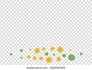 Mint Citrus Background Transparent Vector. Falling Set. Grass Lime Summer. Freshness Lime Sunny Pattern.