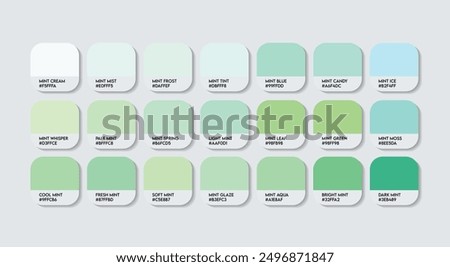Mint Color Palette, Mint Color Guide Palette with Color Names. Catalog Samples of Light Green with RGB HEX codes and Names. Green Colors Palette Vector, Fashion Trend Mint Green Color shade tones