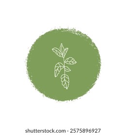 Mint culinary herb label. Hand drawn badge. Vector hand drawn doodle illustration isolated on white background.