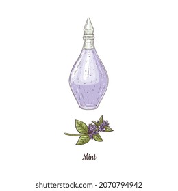 Mint essential oil for aromatherapy vector watercolor sketch illustration. Peppermint perfume or fragrance in the glass vial with glass stopper cap. Aroma therapy oil drawing.