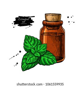 Mint essential oil bottle and peppermint leaves hand drawn vector illustration. Isolated plant drawing for Aromatherapy, beauty and spa, cosmetic ingredient. Great for label, packaging design.